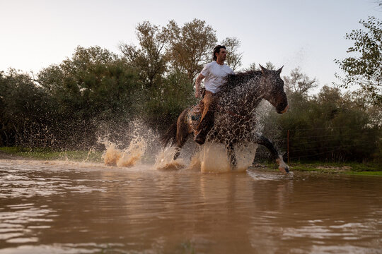 Cowboy Charging Mustang Through Water