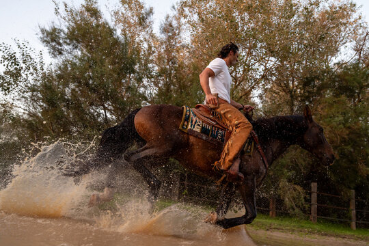 Cowboy Charging Mustang Through Water