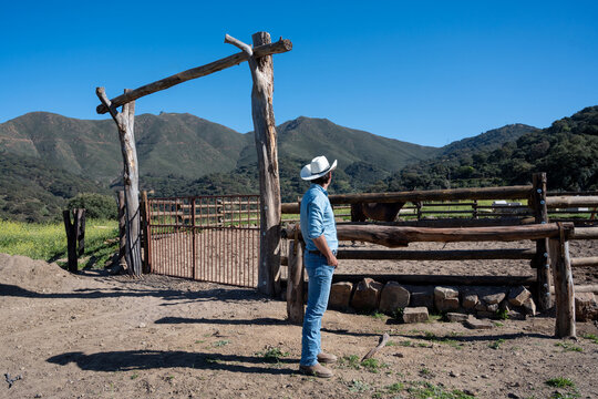Cowboy Observing Wild Horse In Mountain Corral
