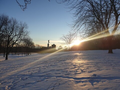 Winter sunset in the park 