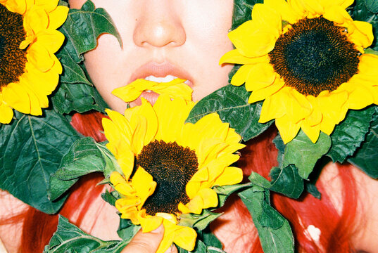Bitting sunflowers petals
