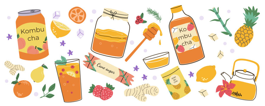 Cartoon kombucha drink stickers set. Fermented tea with hibiscus, honey and ginger, plus pineapple, orange, lemon and cane sugar flavors. Healthy probiotic beverage doodle vector isolated on white.