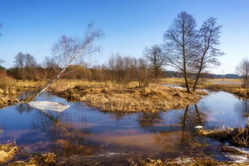 Wiosna wkracza w Dolinę Górnej Narwi, Podlasie, Polska © podlaski49