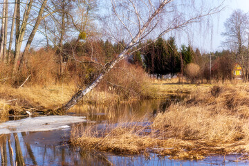 Wiosna wkracza w Dolinę Górnej Narwi, Podlasie, Polska © podlaski49