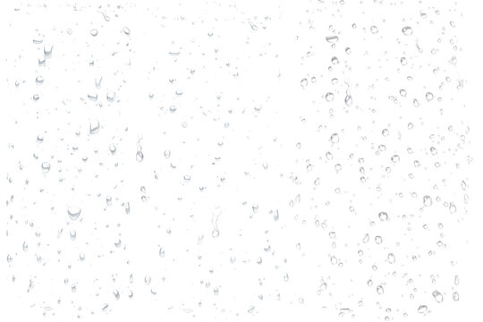 Raindrops on Glass: Close-up macro of water droplets on windowpane, abstract transparent background