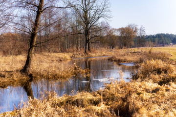 Wiosna wkracza w Dolinę Górnej Narwi, Podlasie, Polska © podlaski49