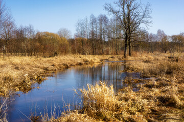 Wiosna wkracza w Dolinę Górnej Narwi, Podlasie, Polska © podlaski49