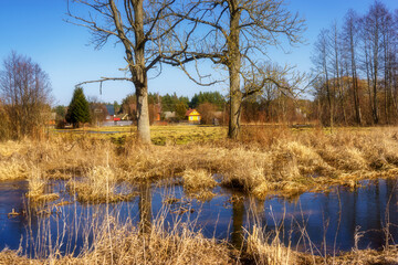Wiosna wkracza w Dolinę Górnej Narwi, Podlasie, Polska © podlaski49