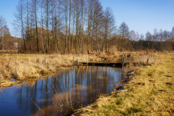 Wiosna wkracza w Dolinę Górnej Narwi, Podlasie, Polska © podlaski49