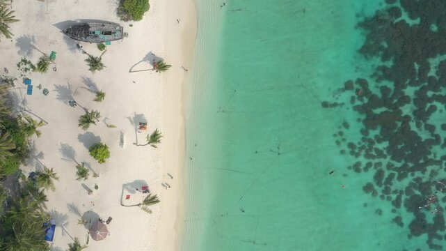 Top-down drone view of a vibrant coral reef next to a white sand Thoddoo beach, featuring an old wooden boat, green palm trees, and people swimming in the turquoise sea.