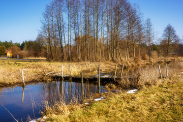 Wiosna wkracza w Dolinę Górnej Narwi, Podlasie, Polska © podlaski49