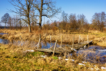 Wiosna wkracza w Dolinę Górnej Narwi, Podlasie, Polska © podlaski49