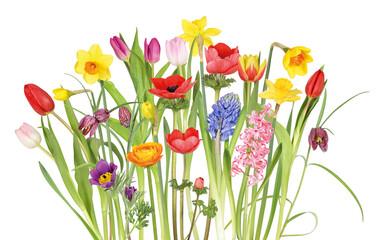 Naklejka premium Colorful flower bed in the garden in spring