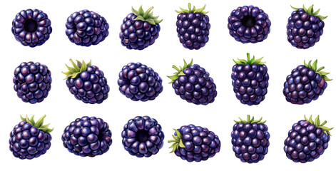 A charming watercolor collection of blackberries, including whole berries and top views