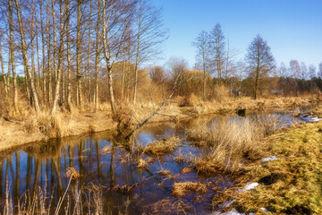 Wiosna wkracza w Dolinę Górnej Narwi, Podlasie, Polska © podlaski49