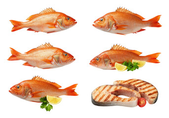 Fototapeta premium Six red fish images arranged on a transparent background including whole raw red fish, lemon and parsley garnishes, and a grilled fish steak slice with tomato