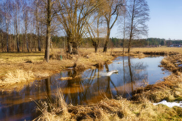 Wiosna wkracza w Dolinę Górnej Narwi, Podlasie, Polska © podlaski49