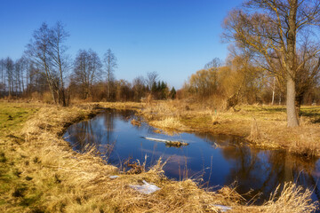 Wiosna wkracza w Dolinę Górnej Narwi, Podlasie, Polska © podlaski49