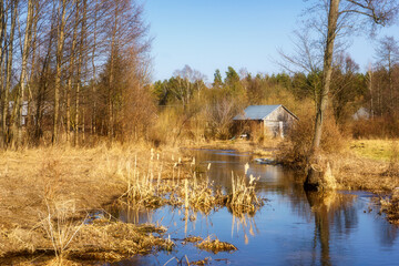Wiosna wkracza w Dolinę Górnej Narwi, Podlasie, Polska © podlaski49