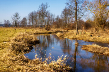 Wiosna wkracza w Dolinę Górnej Narwi, Podlasie, Polska © podlaski49