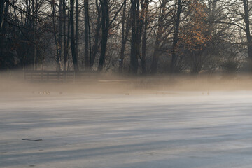 Wiosenny mglisty i słoneczny poranek w parku.  © Elżbieta Kaps