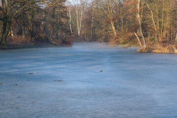 Wiosenny mglisty i słoneczny poranek w parku.  © Elżbieta Kaps