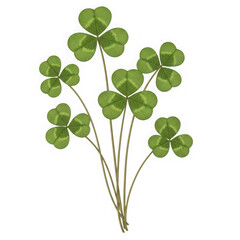 Fototapeta premium A bunch of green clover leaves on thin stems isolated on transparent background, PNG