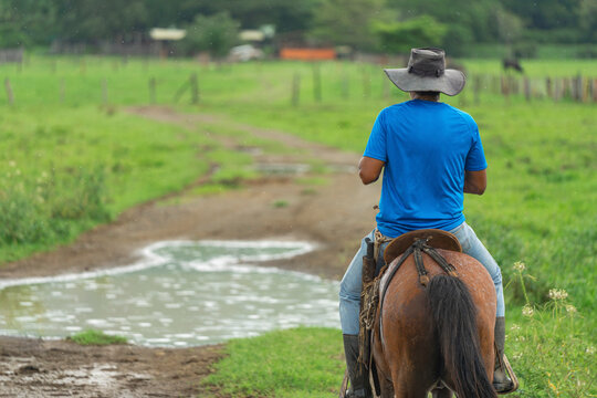 Cowboy Riding Horse On Muddy Farm Path