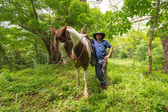 Farmer with horse