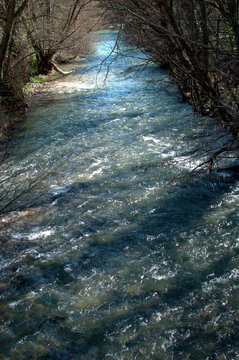 Arga River flowing between trees in Huarte, Navarra