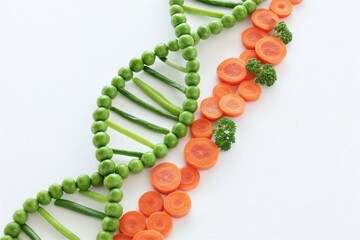 egetable dna helix made from peas and carrot slices. Nutrition genetics concept
