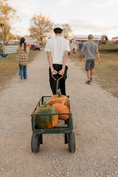 A teenage boy at a pumpkin patch, picking a pumpkin for Halloween.