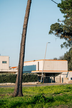 Building and Trees in Open Area Near a Road in Daylight