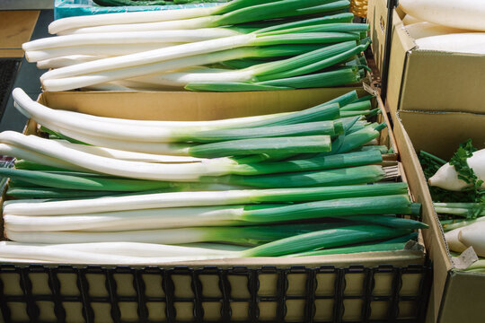 Fresh Green Onions Displayed in Market Baskets for Sale