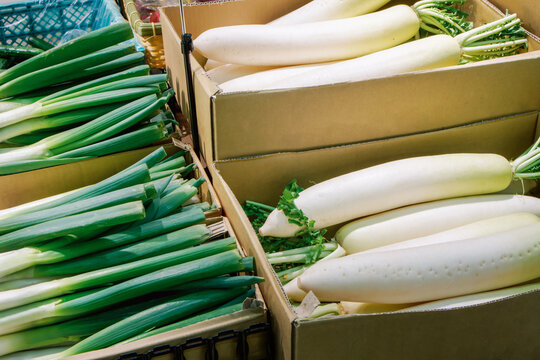 Fresh vegetables at a local market. Green onions and white radishes