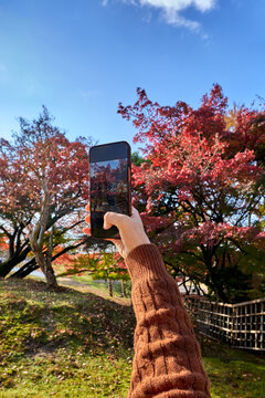 Person holding smartphone in park with autumn trees, taking pictures. 