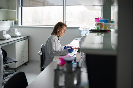 Researcher Working in Modern Lab Workspace