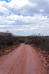 Waterberg Plateau in Namibia, a striking red sandstone mountain rising above the surrounding savanna landscape. Known for its dramatic cliffs, rich biodiversity, and scenic views, this natural landmar