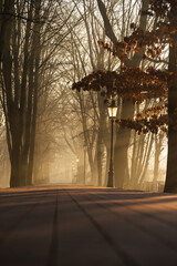 Mglisty poranek w parku w Goczałkowicach w promieniach wschodzącego słońca © Elżbieta Kaps