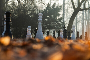 Mglisty poranek w parku w Goczałkowicach w promieniach wschodzącego słońca © Elżbieta Kaps
