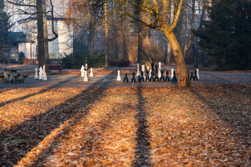 Mglisty poranek w parku w Goczałkowicach w promieniach wschodzącego słońca © Elżbieta Kaps