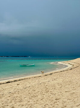 Storm over tropical sea with dog and turquoise waters, Guyam Island, Siargao, Philippines 