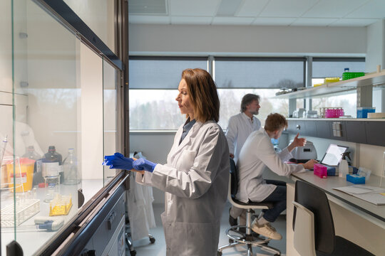 Research Process in a Modern Laboratory