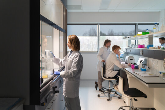 Scientist Research Process in a Modern Laboratory
