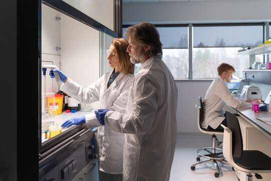 Scientists Conduct Research in a Modern Laboratory