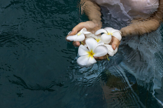 water ritual with flowers, closeup of female hands offering flowers
