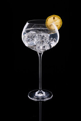 Gin tonic drink in balloon glass with lemon