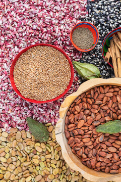 Bowl of cacao Beans Set on Vibrant Grains