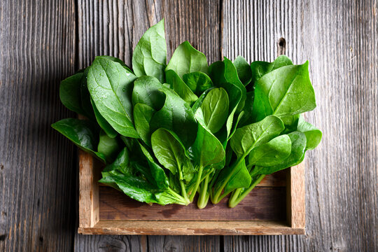 Clean spinach leaves with water drops stored in wooden produce box on textured table. Organic greens, healthy diet and rustic food styling concept. Top view