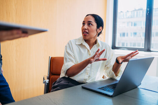 Businesswoman Discussing Ideas At Office Desk